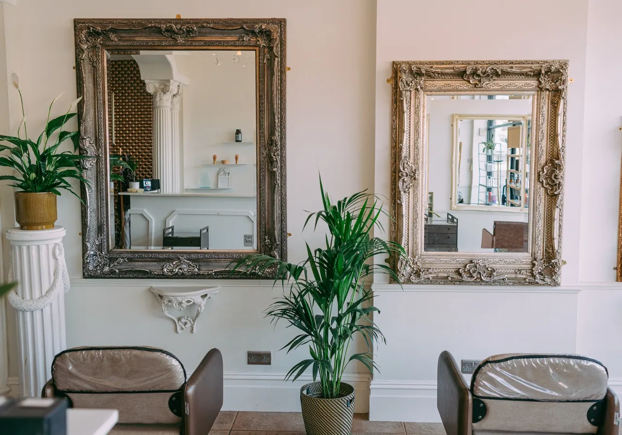 Pair of ornate framed mirrors above the wainscot